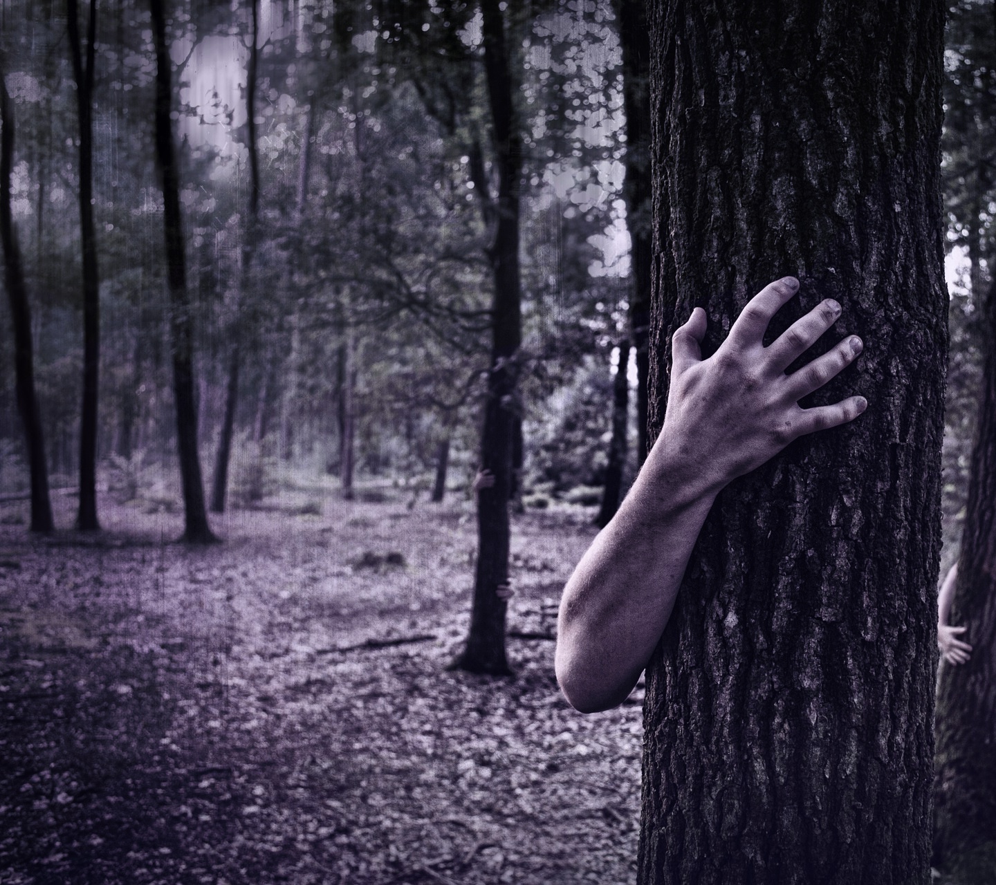 a dark/washed out forest scene with a purple tinge. In foreground a tree trunk close up a sickly looking 'zombie' arm reaches around from behind.