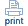 Print This Data Recovery Press Release